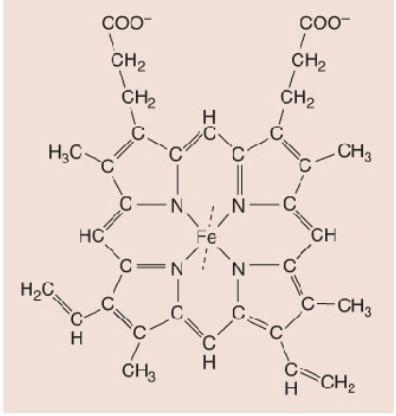 <p>The Fe (iron); the purpose is to catalyze and function; nonpeptide</p>