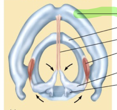 <p>What is this structure?</p>