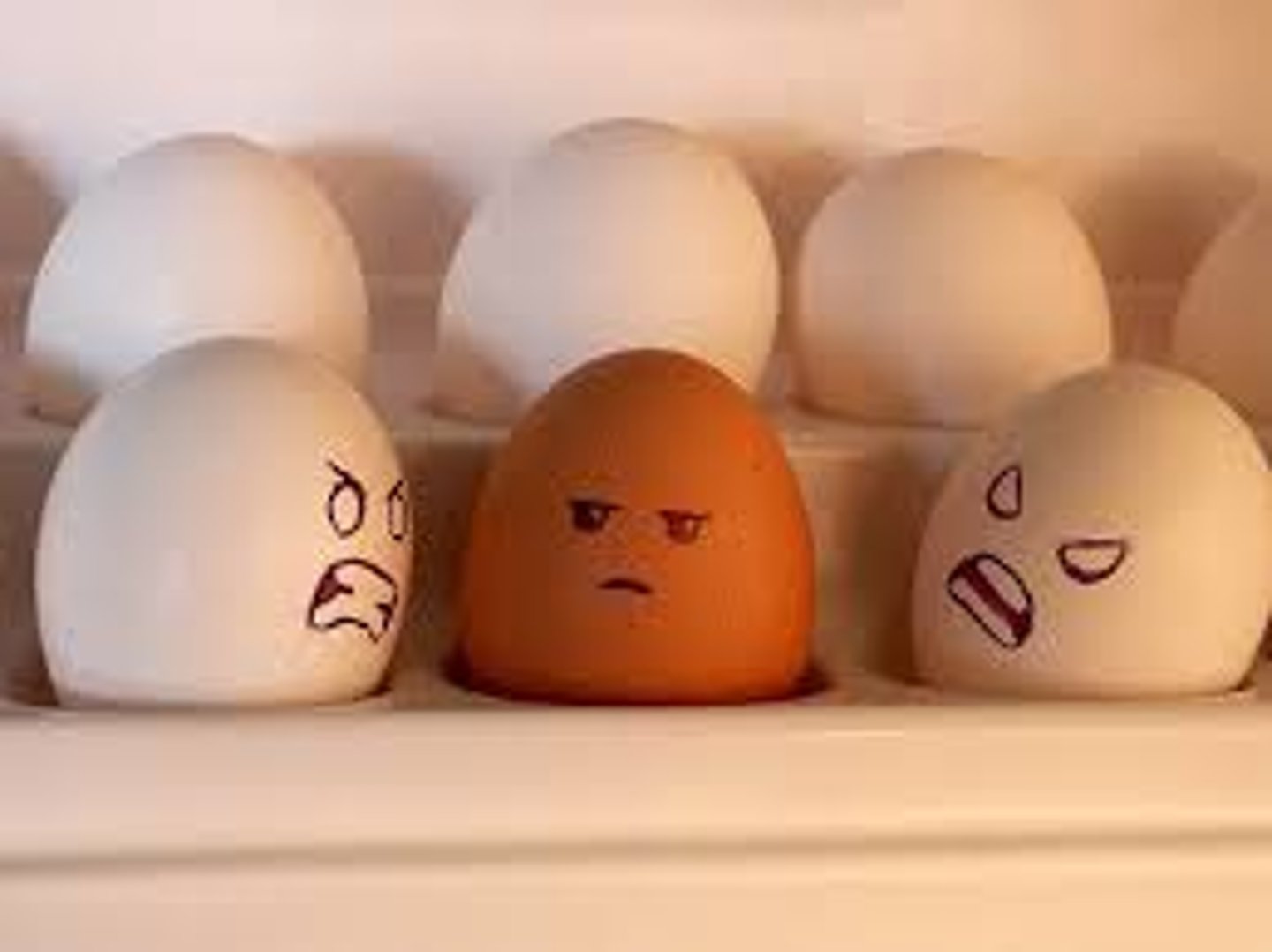 <p>discriminatory or abusive behavior towards members of another race</p>