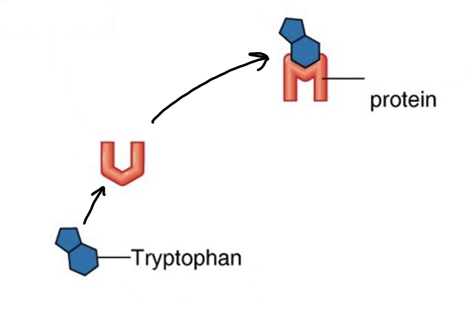 <p>This - has become - </p>