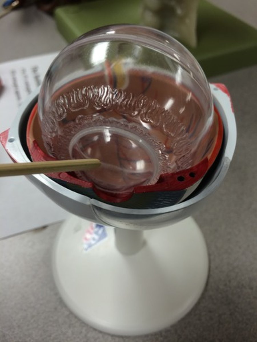 knowt flashcard image