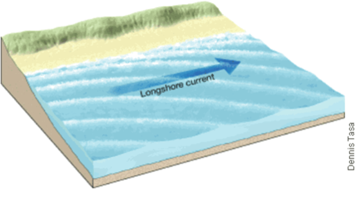 <p>the currents flow parallel to the shore and move large amounts of sediment along the shore</p>
