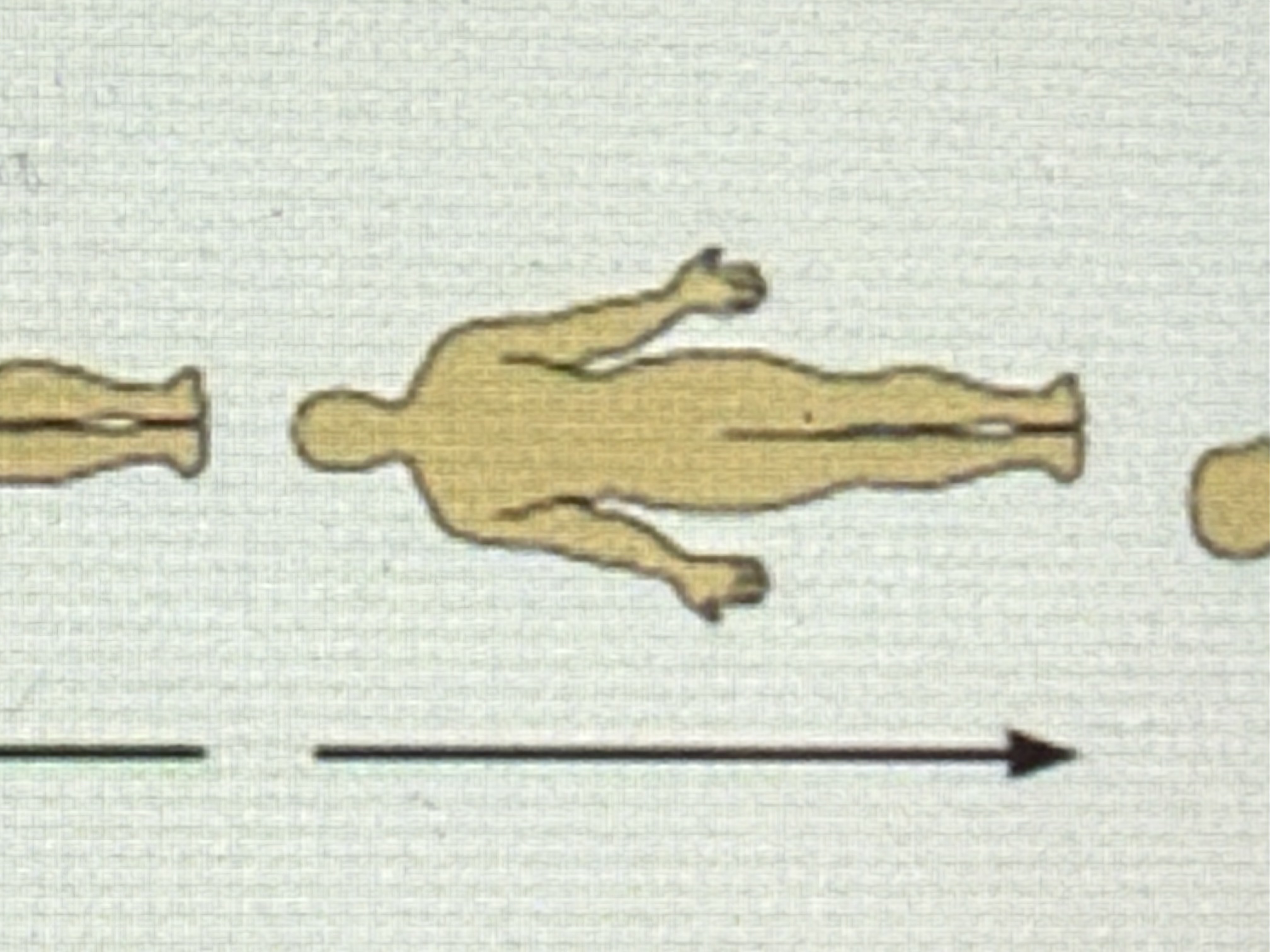<p>Toward the lower part of a structure or the body; below.</p>