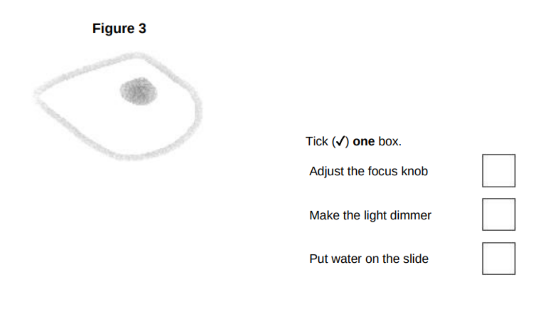 <p>A student prepared a microscope slide of cheek cells. </p><p>The student looked at one cell using a microscope. </p><p>Figure 3 shows the image the student saw.</p><p>What should the student do to get a clear image?</p>