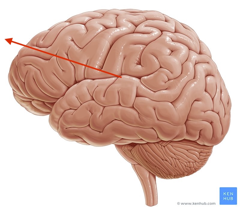 <p>what direction is this?</p>