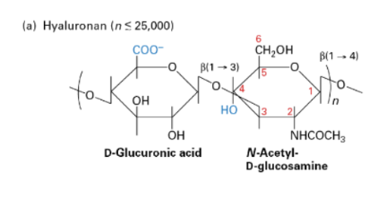 <p>What is <strong>HYALURONAN/HA?</strong></p>