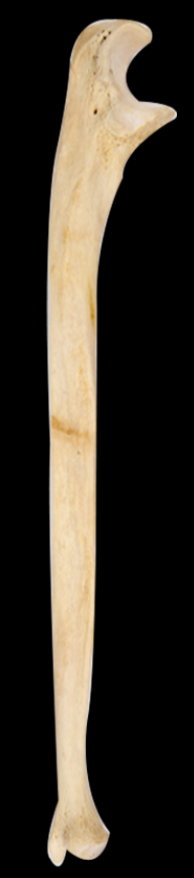 <p></p>