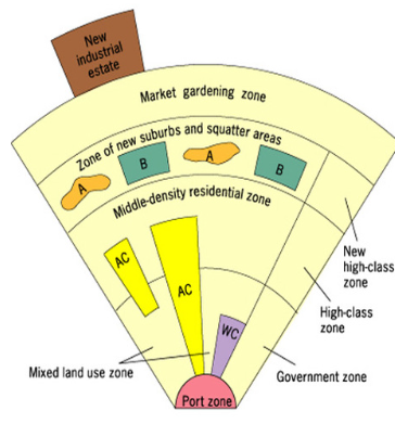 term image