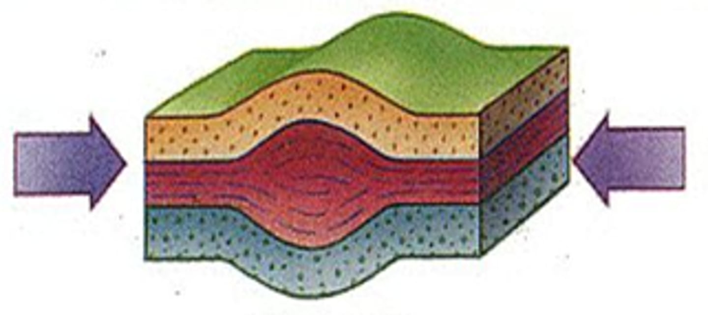 <p>Squeezes a rock and shortens a rock body</p>