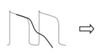 <p>would this diagram lead to a normal or abnormal action potential? </p>