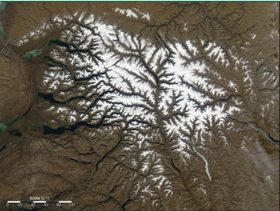 <p><span><span>Formed by small streams (twigs) that join together to form larger streams (branches), which ultimately converge into a single, main river (the trunk).</span></span></p><p><span><span>Most common type of drainage system</span></span></p>