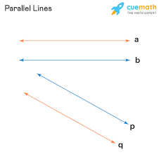 <p>Parallel lines</p>
