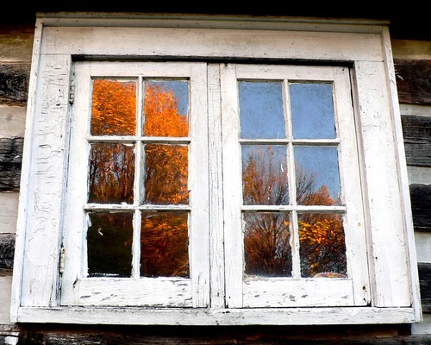 <p>the window</p>