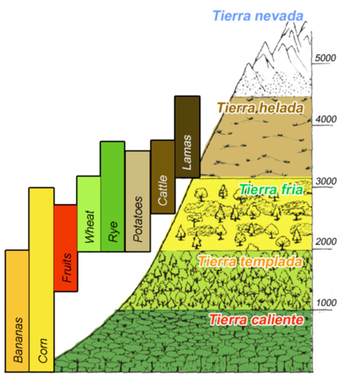 <p>Tierra Caliente (hot land), Tierra Templada (temperate land), Tierra Fría (cold land), Tierra Helada (frost land), and Tierra Nevada (snowy land)</p>