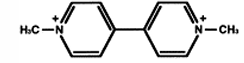 <p>Identify The name of the Structure</p>