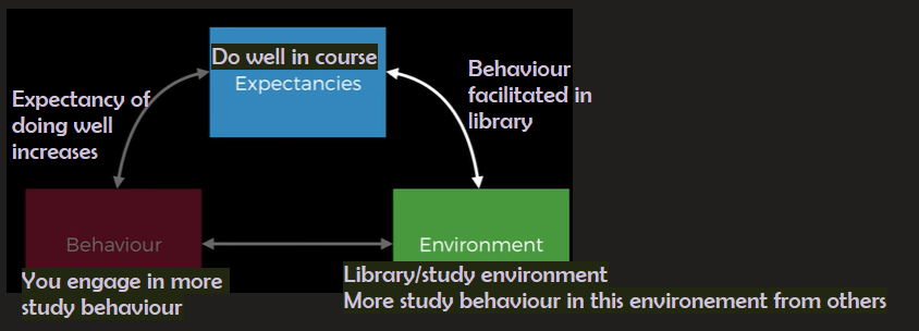 <p>The idea that behavioural cognitive and environmental variables interact to produce personality.</p><p></p>