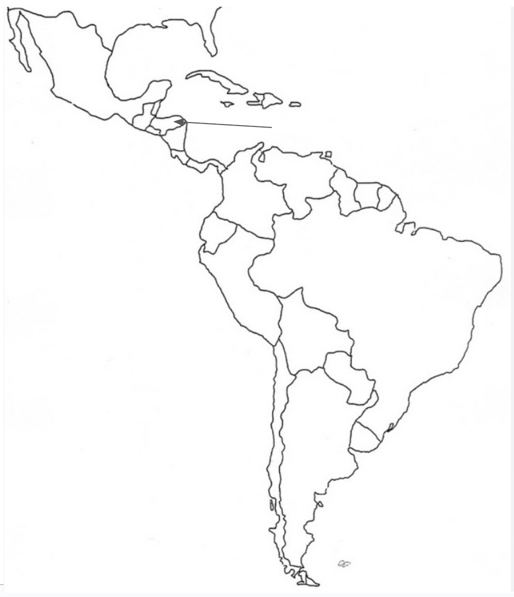 <p>what country is this?</p>