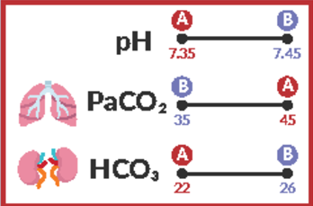 <p>Normal pH range</p>