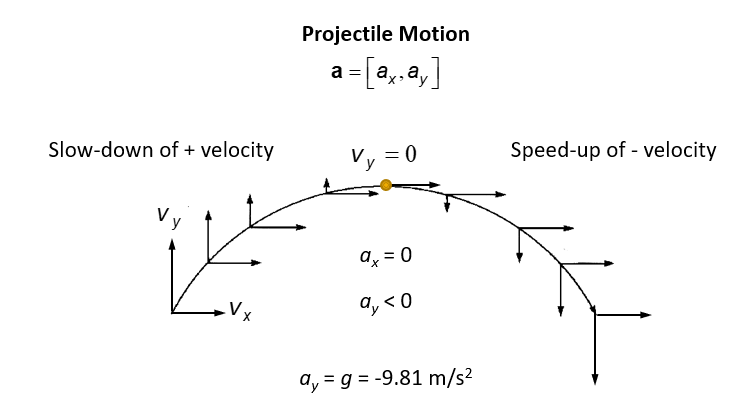 <p>a=[a<sub>x</sub> , a<sub>y</sub>] </p><p>units in m/s<sup>2</sup></p><p>horizontal velocity stays the same while v<sub>y </sub>slows down and speeds up</p>