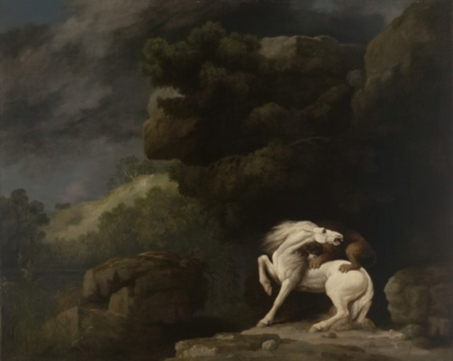 <p>Horse attacked by a lion, horse frightened by a lion</p>