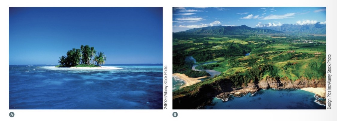 <p><span><span>On which of these islands would you expect to find more species</span></span></p>