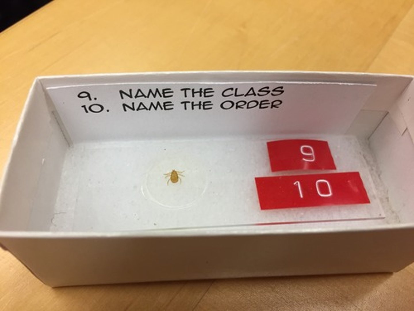 knowt flashcard image