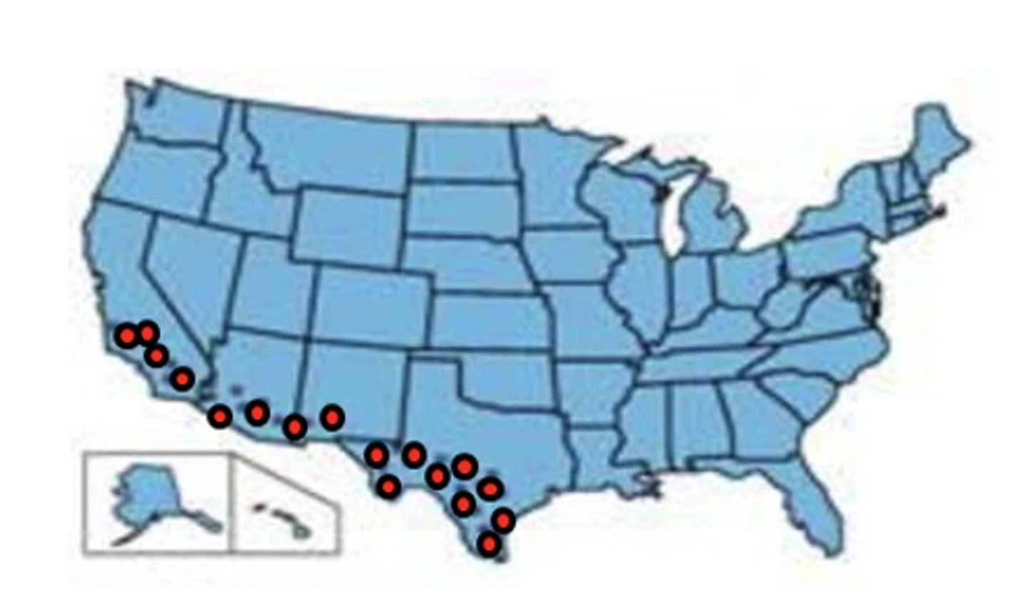 <p>disease that exists permanently in a particular region or population</p><p>ex: malaria in African and chicken pox in US</p>