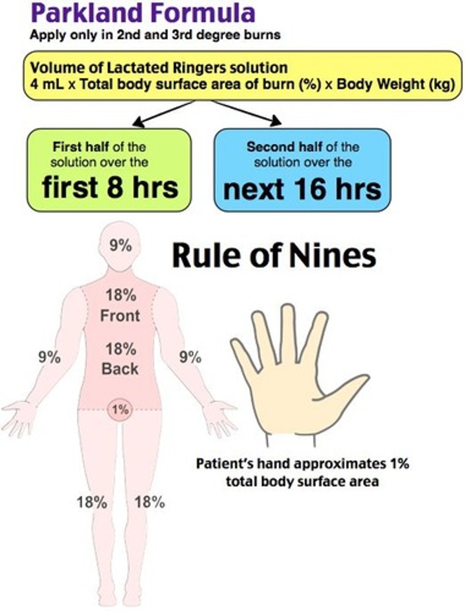 <p>% BSA x weight (kg) x 4<br><br>give 1/2 fluids in first 8 hours.<br>remaining 1/2 in last 16 hours.</p>