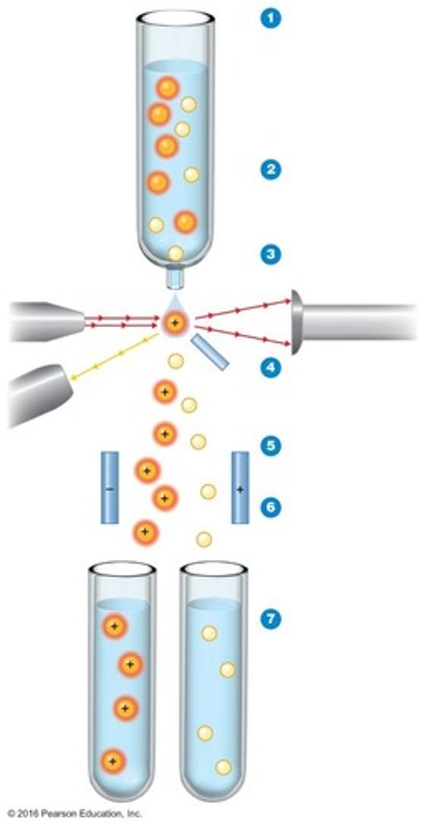 <p>Technique comparing cellular proteins to databases.</p>
