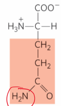 <p>What is this?</p>