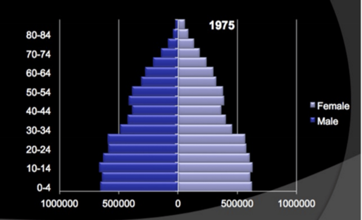 <p>Pyramid stays relatively stable only narrowing at the top due to death at an old age</p>