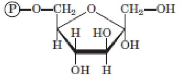 <p>What structure is this?</p>