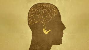 <p>What are characteristics of psychological healthy people </p>