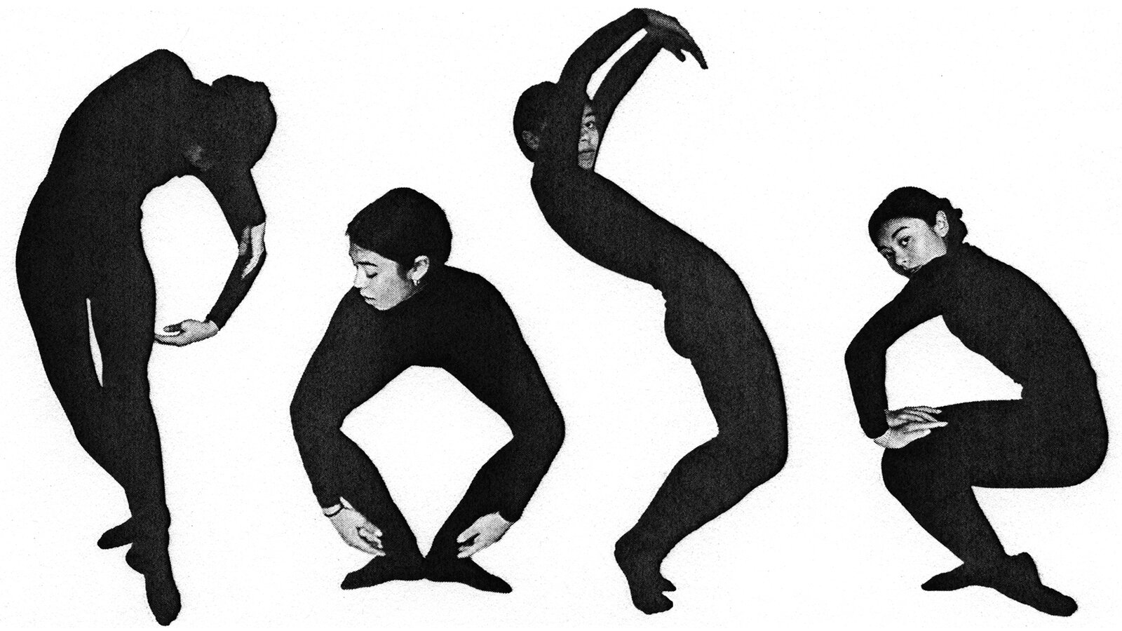 <p>To assume a particular position, especially for a photo or painting.</p><p></p>