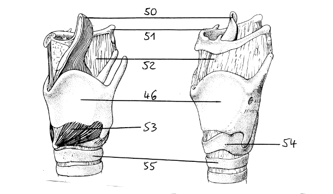<p>50</p>