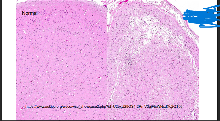 <p>What is this?</p>