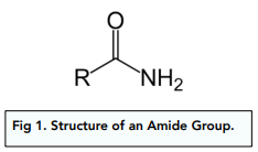<p>CONH<sub>2</sub>, amido group</p>