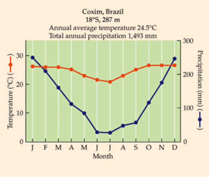 <p>What biome?</p><p>Climate alternates btw wet/dry seasons. Drought in dry season leads to lightning-caused wildfires. Intense grazing pressures - ecosystem engineers. Bottomland hardwoods don’t establish - disturbance.</p><p>Soils have low water permeability - saturated soils keep trees out, especially near Orinoco River in South America.</p><p>Supports rich herbivore communities, but increasing pressure to produce livestock. </p><p><50% of biome is intact due to forestry and agriculture.</p><p></p><p>All these prevent it from turning into a tropical seasonal forest.</p>