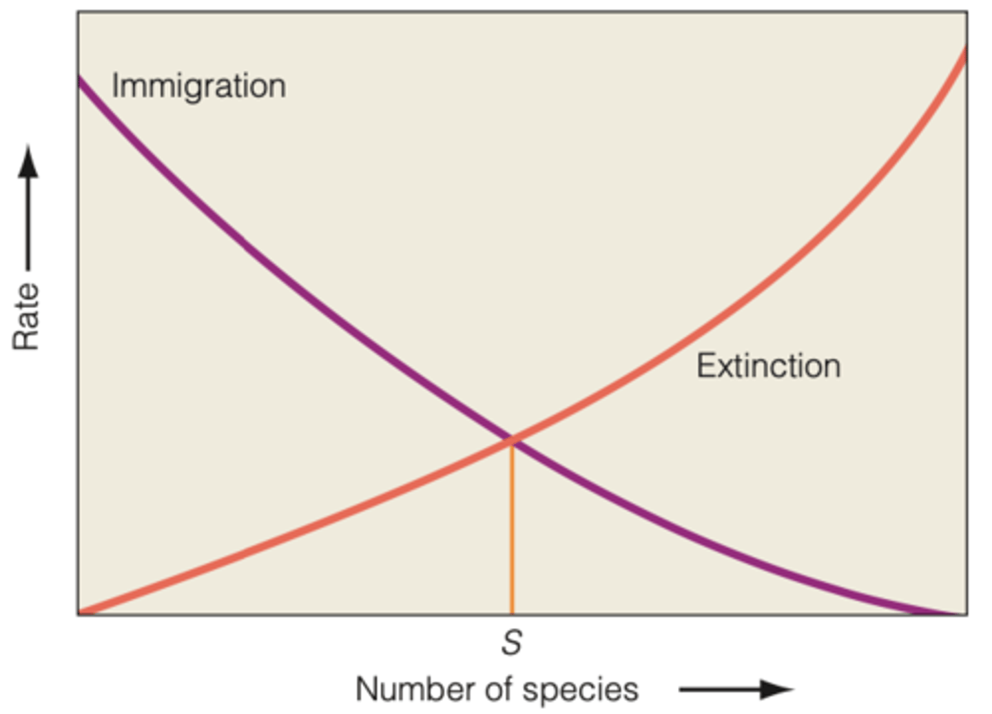 <p>as the number of species increases, competitions will likely increase, causing an increase in the extinction rates</p>