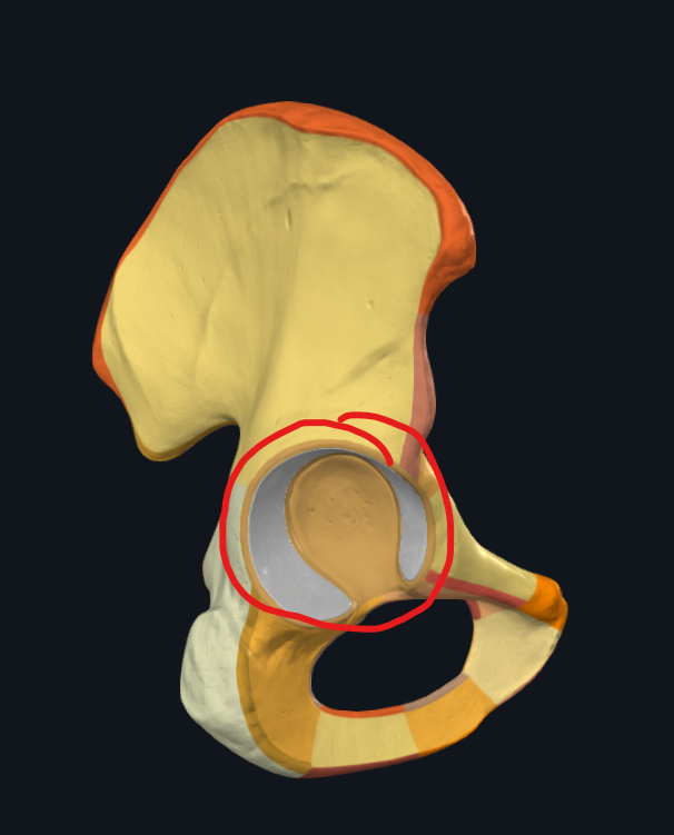 <p>What is circled</p>