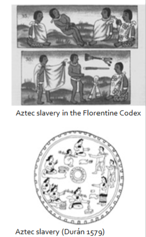 <p>• Slavery was present in Mesoamerica prior to Spanish colonization</p><ul><li><p> Slaves could earn their own profits, and in some cases, buy their way out.</p></li></ul><ul><li><p> Spanish slavery was chattel slavery; slaves were considered property, for life, and could be tortured and killed.</p></li></ul><p>• Although Isabella outlawed slavery of Indigenous people, an illegal slave trade flourished</p><ul><li><p>&nbsp;Outlawed again under the New Laws of 1542</p></li></ul><p></p>