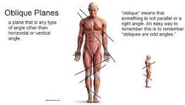<p>What is the oblique plane?</p>