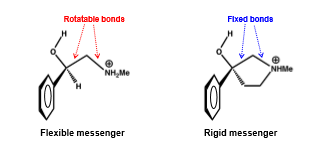 <p>used to limit the number of conformations that a drug can adopt while retaining the active conformation</p><p>achieved by introducing a ring structure, rigid functional groups, or steric blockers</p>