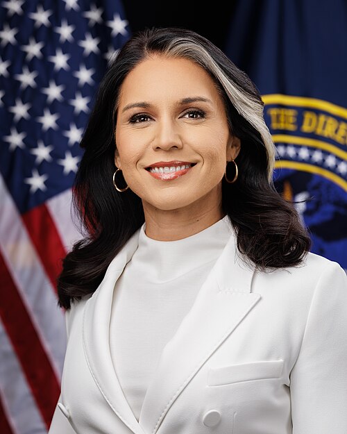 <p>Tulsi Gabbard</p>
