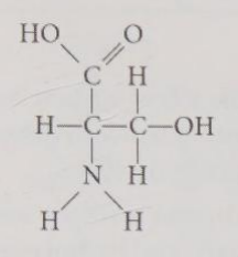 <p>Which functional group is not present in the molecule shown in Figure 4.11?</p><p>A) carboxyl </p><p>B) sulfhydryl </p><p>C) hydroxyl</p><p>D) amino</p>