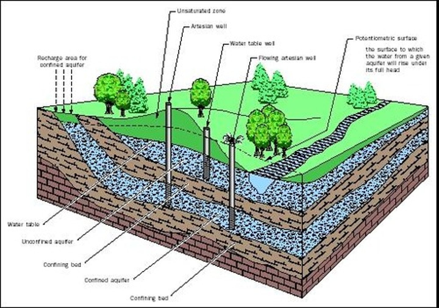 <p>An underground layer of rock or sediment that holds water</p>