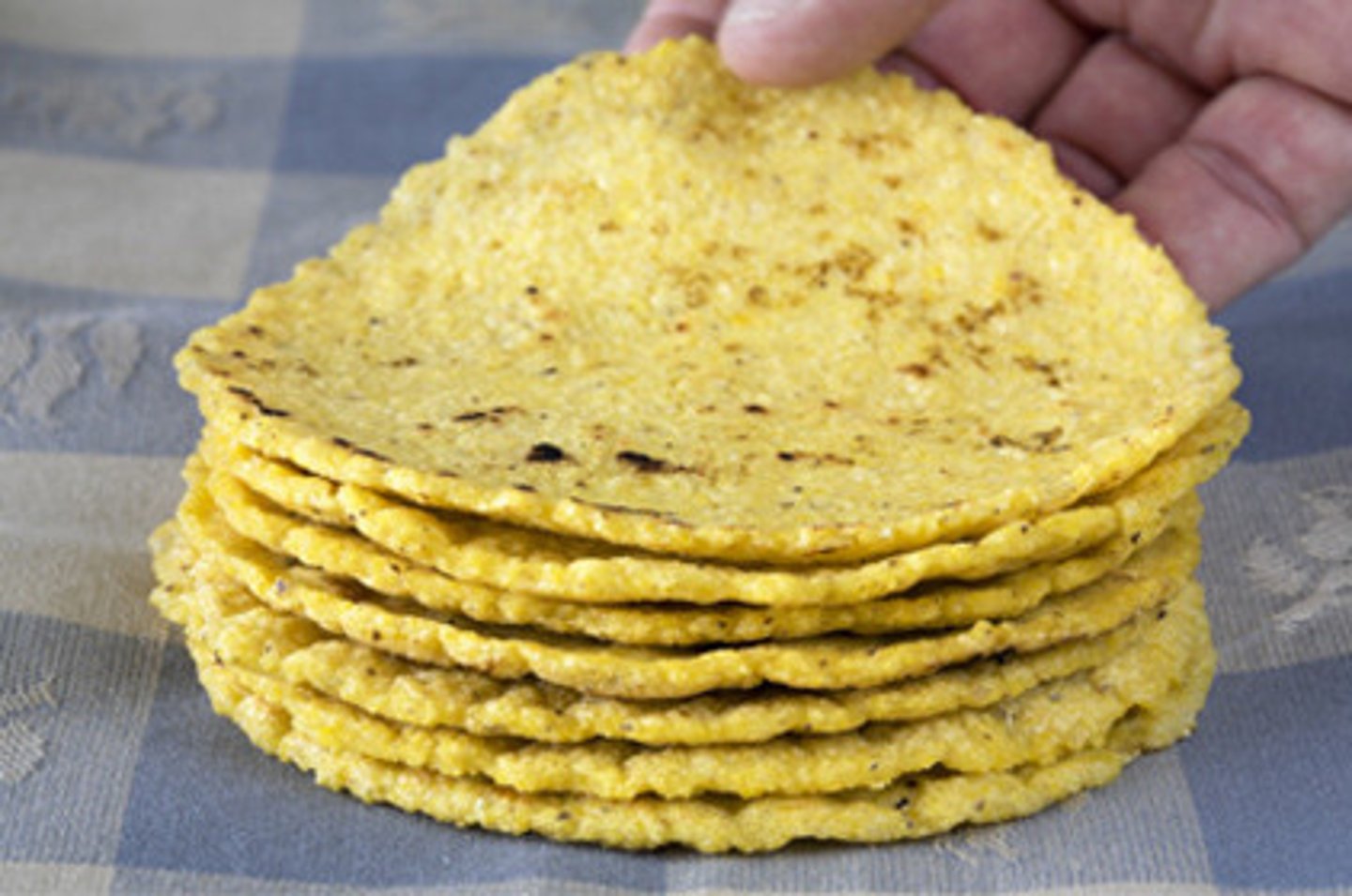 <p>corn tortilla</p>
