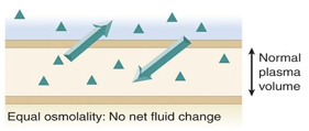 <p>no fluid shift</p>