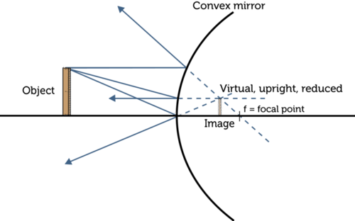 <p>Virtual, upright, and smaller (diminished) images.</p>