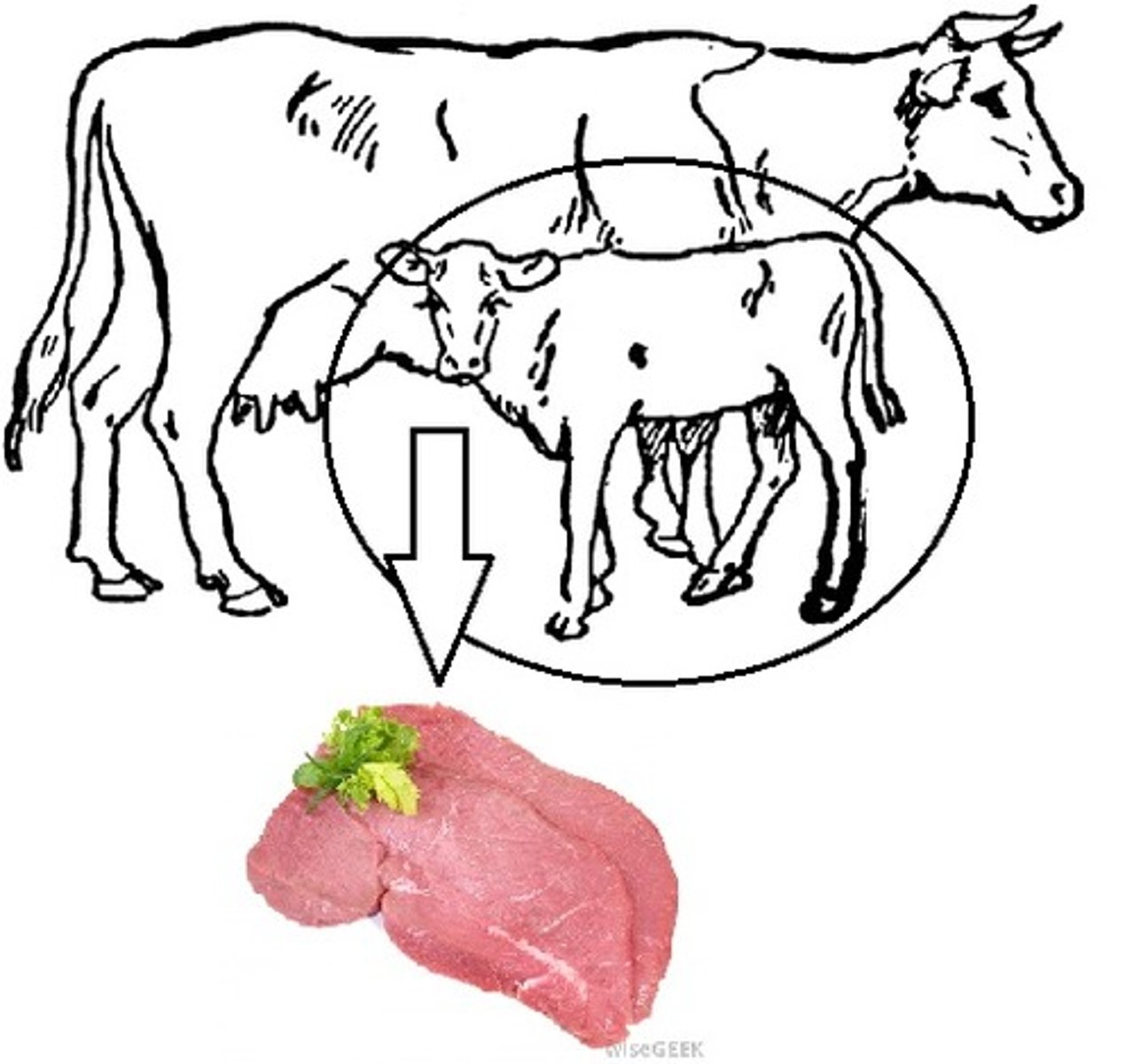 <p>veal cutlet</p>